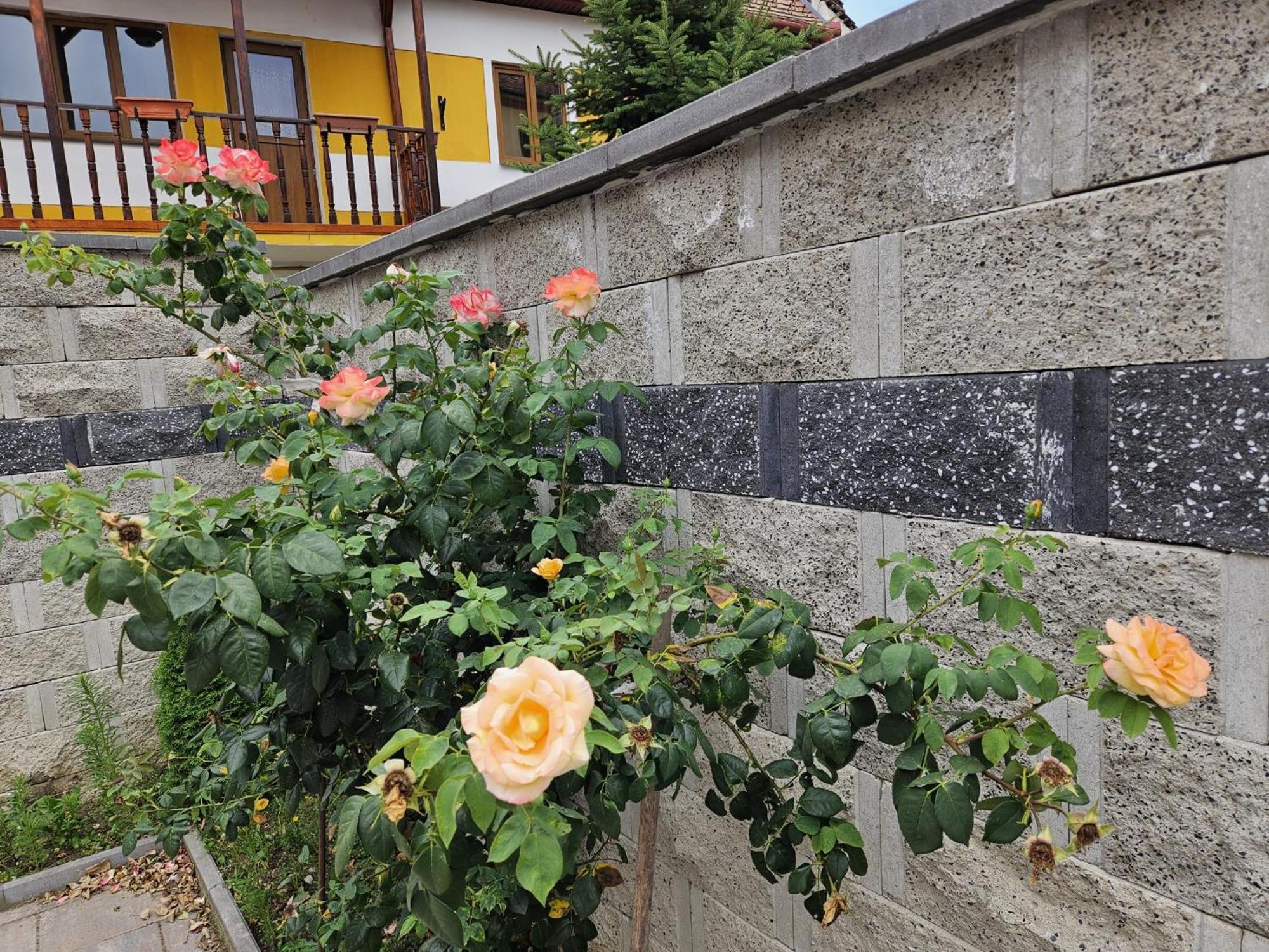 Casa Raduly - Apartament Demisol Sibiu Eksteriør bilde